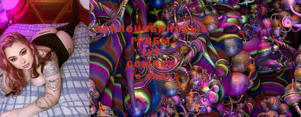 ГАЛЛЮЦИНОГЕННЫЕ ГРИБЫ Семилуки