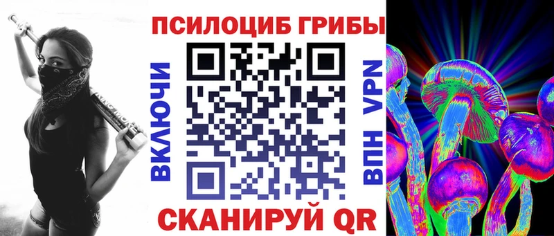 Псилоцибиновые грибы Cubensis  хочу   Ростов 